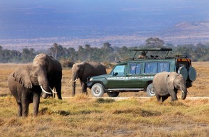 game drive TOUR ITINERARY