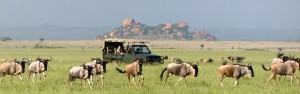 samburu TOUR ITINERARY