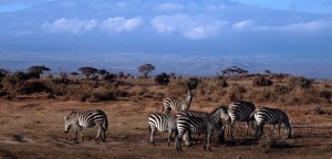 Amboseli National park TOUR ITINERARY