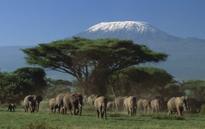 Amboseli National park TOUR ITINERARY