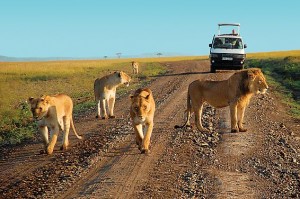 tsavo TOUR ITINERARY