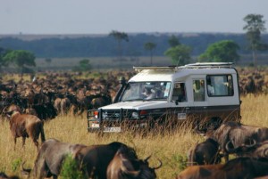 Game drive TOUR ITINERARY