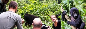 gorilla tracking