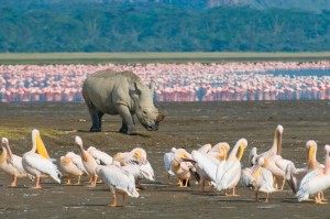 nakuru TOUR ITINERARY