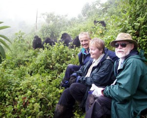 gorilla tracking