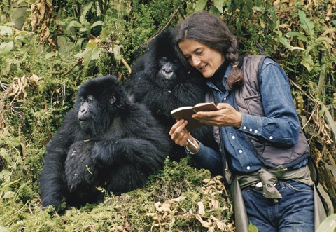 Uganda Primates Safari