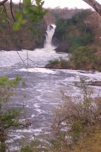 photo - Bikwasi tours and travel